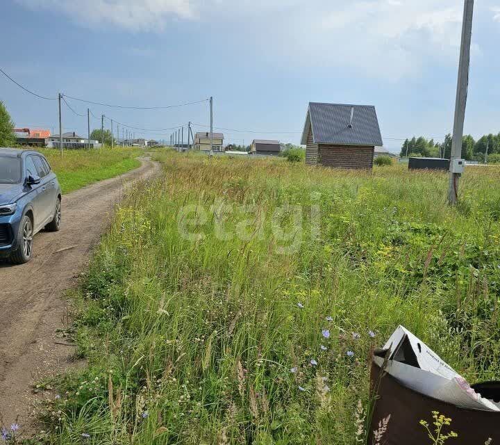 земля р-н Тукаевский д Азьмушкино Республика Татарстан Татарстан, Подсолнухи фото 4