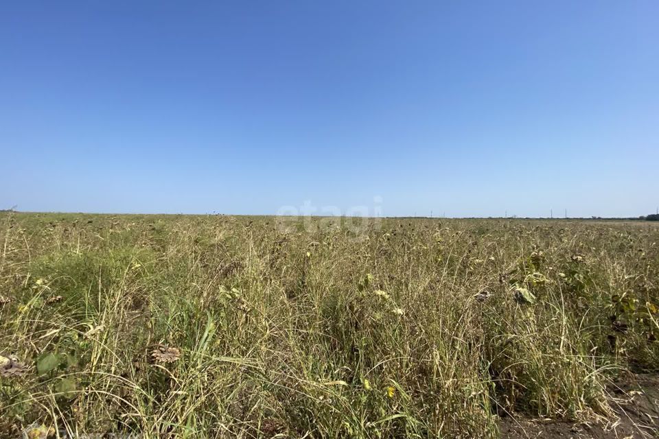 земля р-н Ейский Ейск фото 3