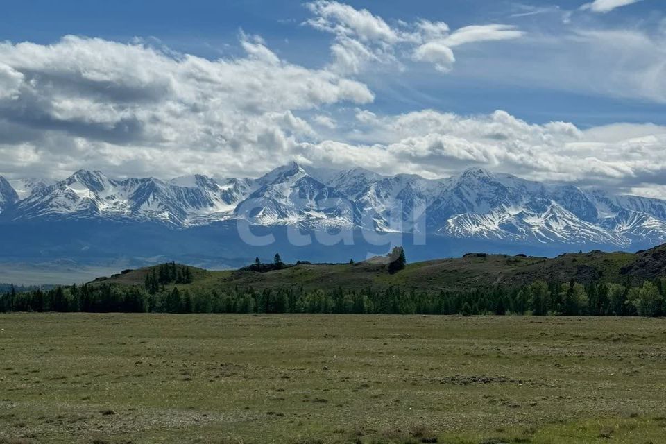 земля р-н Кош-Агачский село Курай фото 2