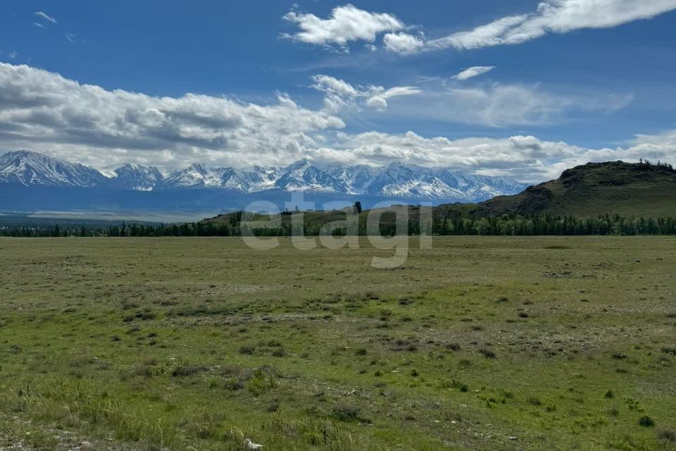 земля р-н Кош-Агачский село Курай фото 3