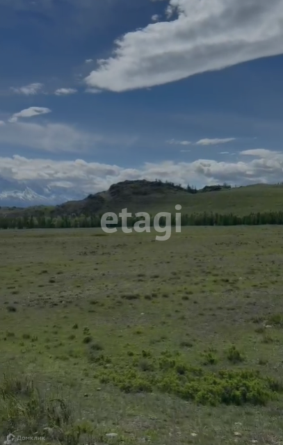 земля р-н Кош-Агачский село Курай фото 4