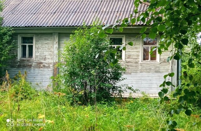 деревня Погост Селецкий сельсовет, Ленинградская улица фото