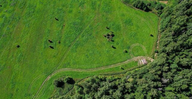 9741 км, Марфино, Алтуфьевское шоссе фото