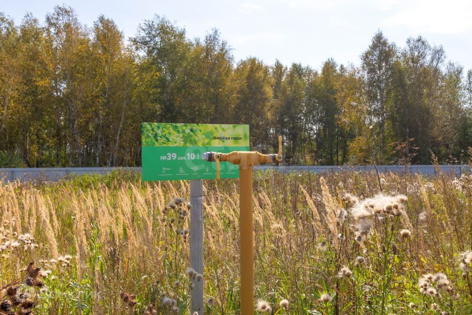 земля городской округ Тюмень, Загородный квартал Береза парк. Квартал у леса фото 10