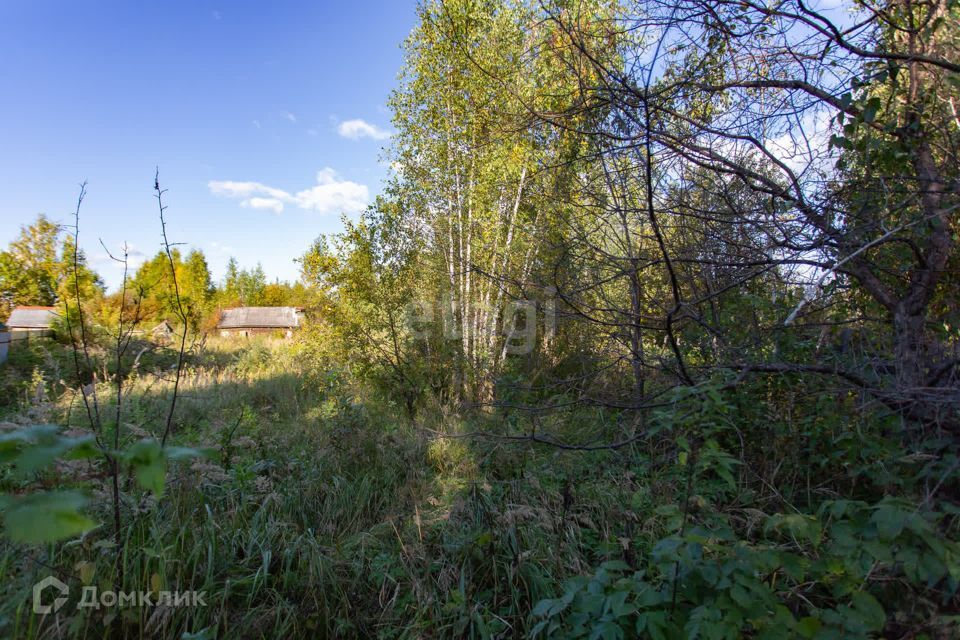 земля г Тобольск СО Дружба, городской округ Тобольск фото 6