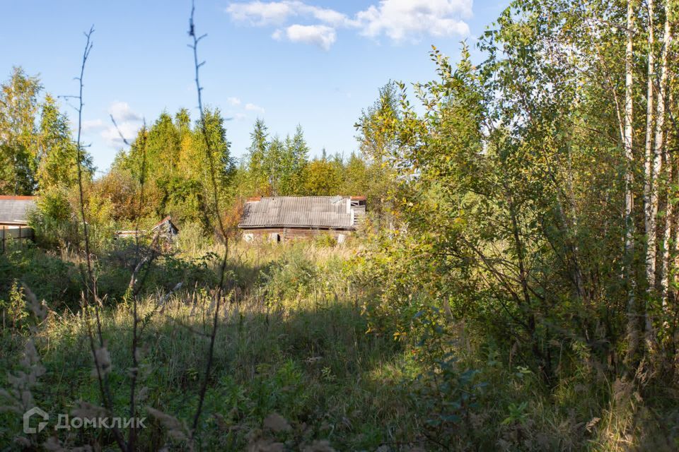 земля г Тобольск СО Дружба, городской округ Тобольск фото 8