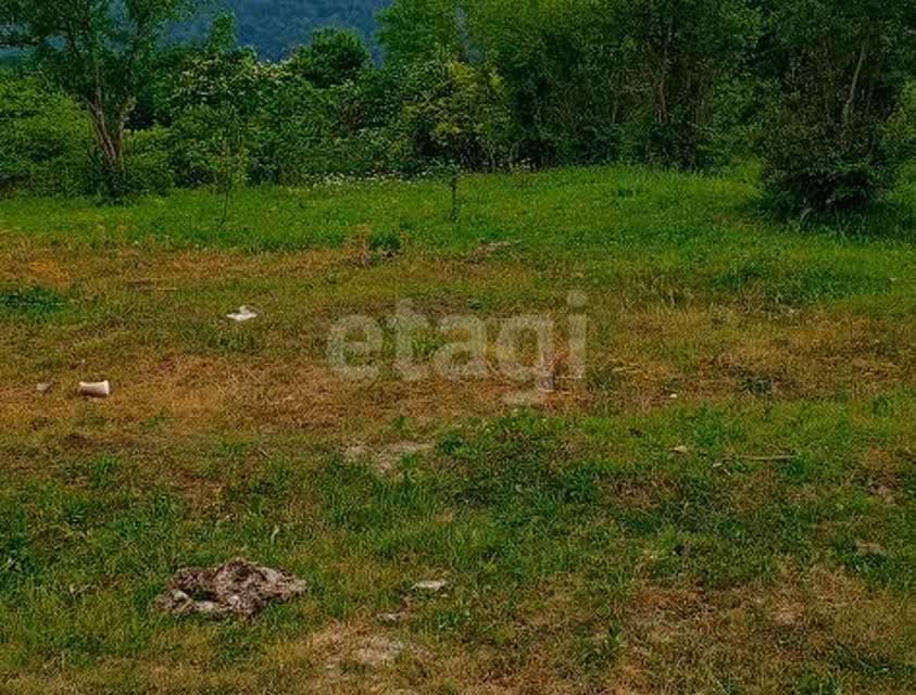 земля г Сочи с Верховское ул Волковская городской округ Сочи фото 5