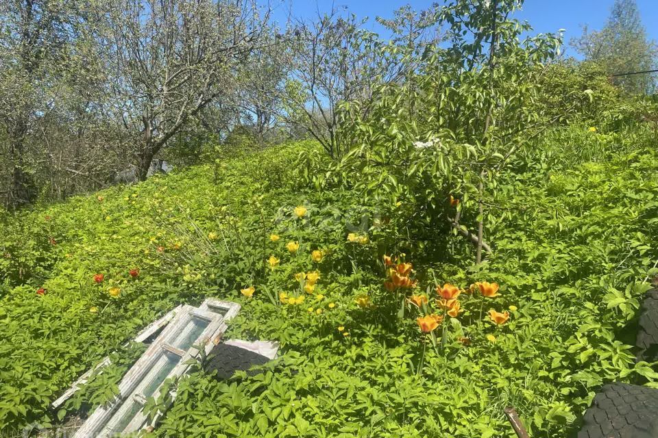 земля г Нижний Новгород р-н Приокский городской округ Нижний Новгород, СТ Победа фото 8