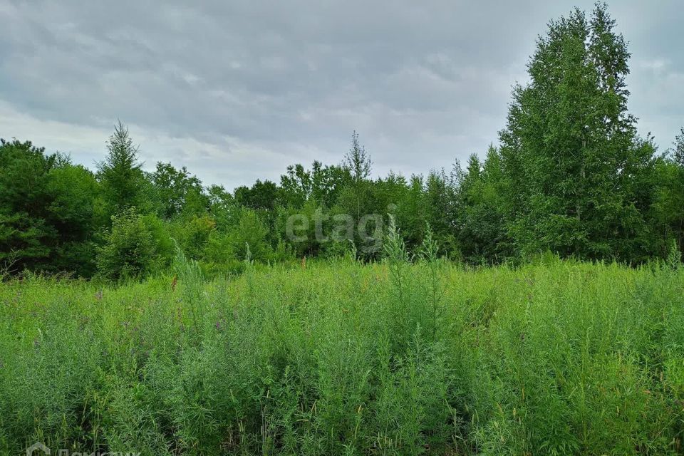 земля р-н Благовещенский село Владимировка фото 6