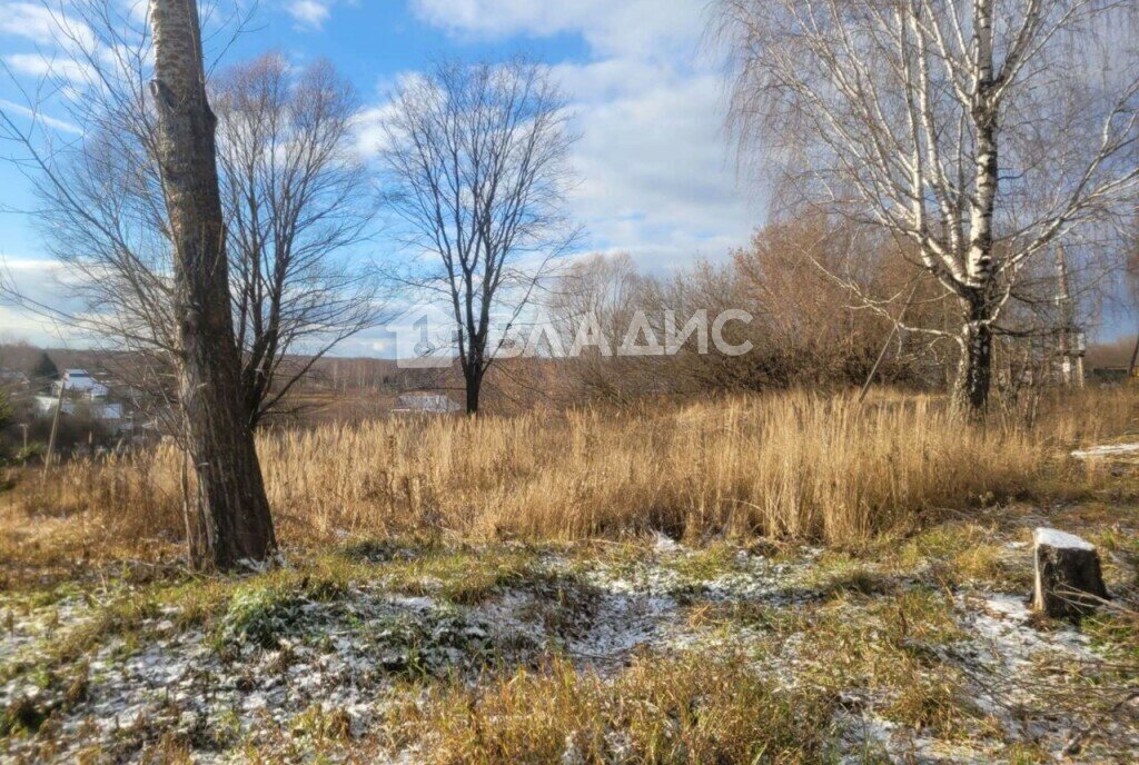 земля р-н Богородский д Заозерье ул Центральная 24 фото 1