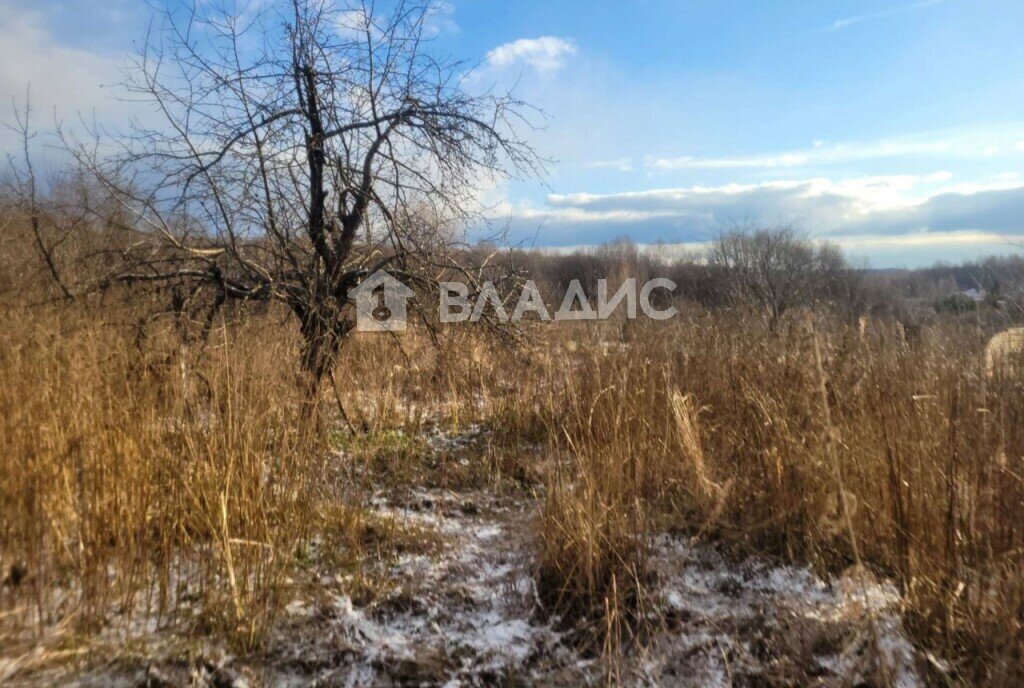 земля р-н Богородский д Заозерье ул Центральная 24 фото 5