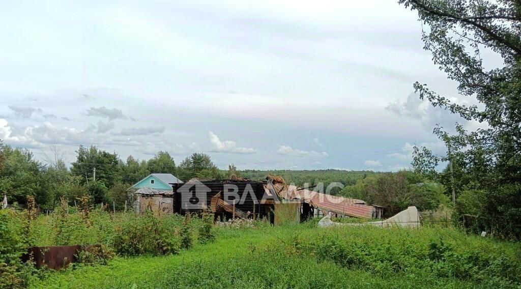 земля р-н Вязниковский д Кудрявцево муниципальное образование, 29, Вязники фото 10