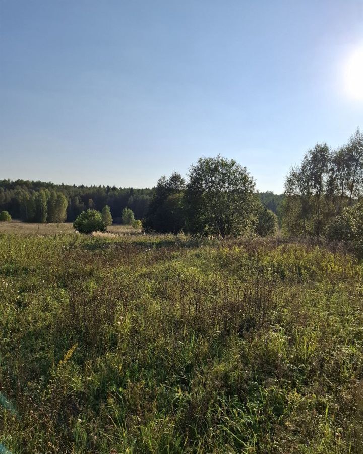 земля городской округ Дмитровский с Ивлево 9787 км, Рогачево, Рогачёвское шоссе фото 6