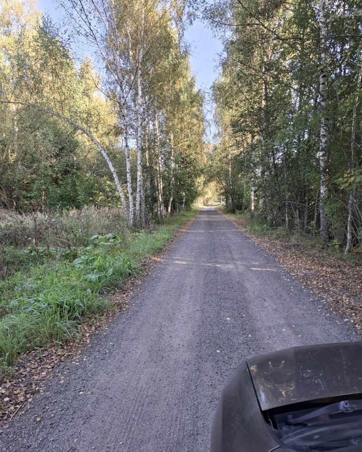 земля городской округ Дмитровский с Ивлево 9787 км, Рогачево, Рогачёвское шоссе фото 14