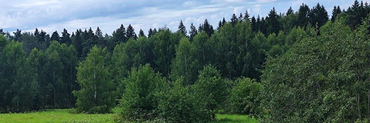 офис городской округ Солнечногорск д Мостки фото 1