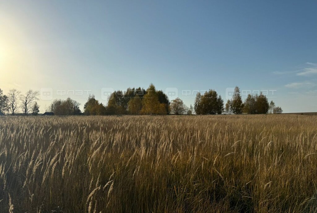 земля р-н Лаишевский с Среднее Девятово ул Камашевская фото 3