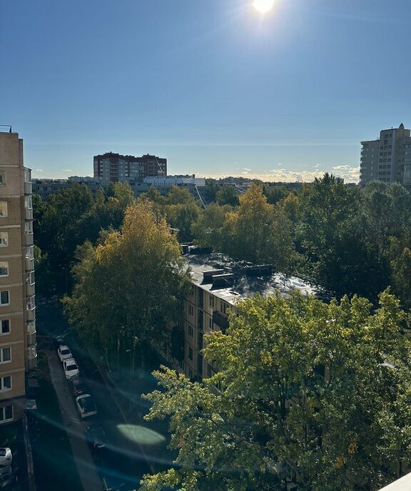 квартира г Санкт-Петербург метро Академическая пр-кт Северный 75к/1 округ Академическое фото 14