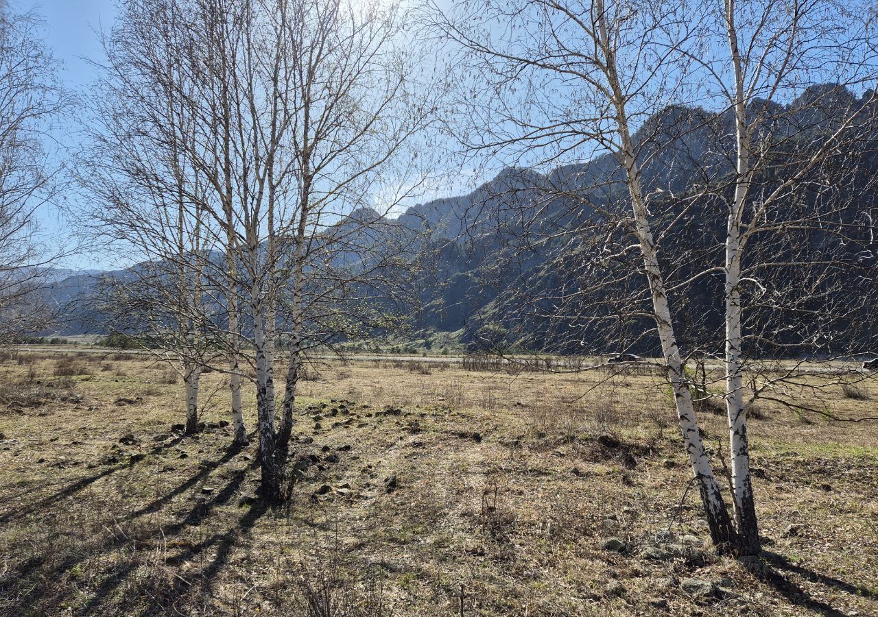 земля р-н Чемальский Ороктойский мост, Онгудай фото 6