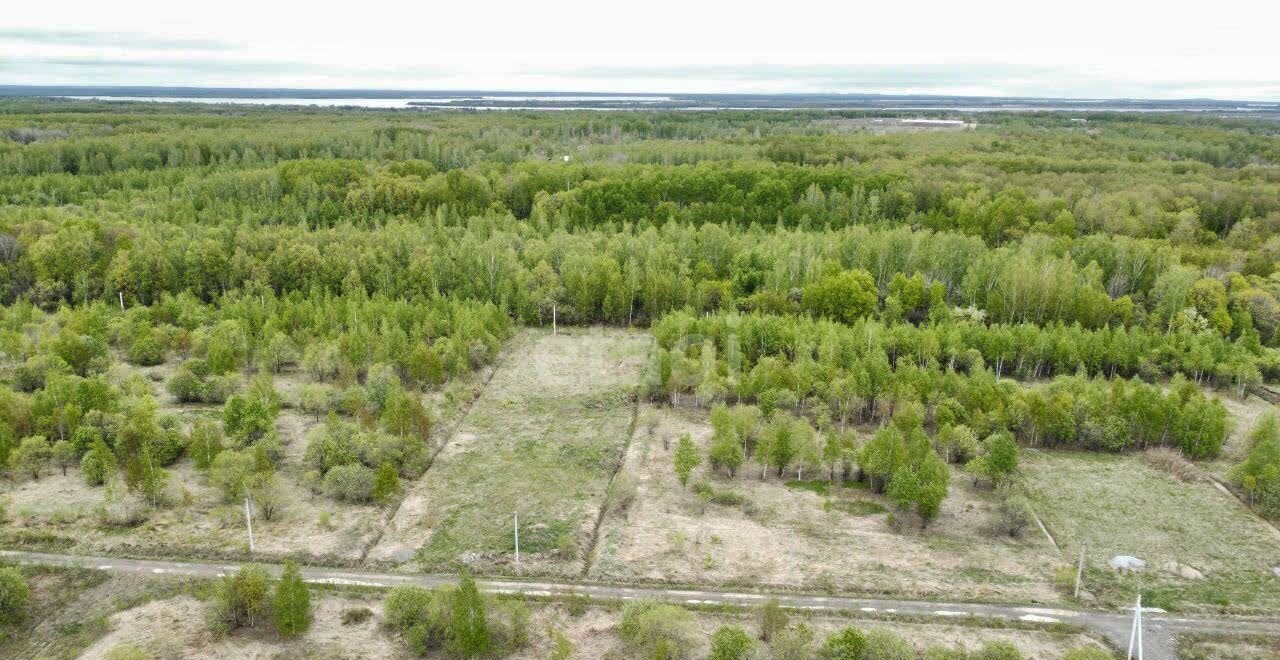 земля г Хабаровск ул Молодежная Мичуринское сельское поселение, ДНТ Виктория, Хабаровский р-н фото 14