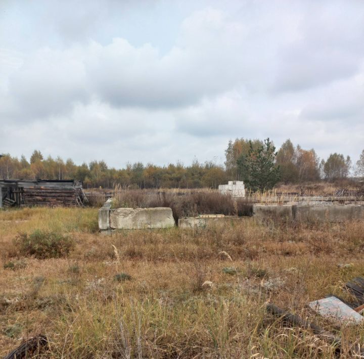 земля р-н Рязанский с Дубровичи ул Комсомольская Дубровическое с/пос фото 4