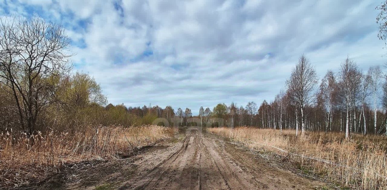 земля р-н Тюменский ТСН Приозерное ул Солнечная СПК фото 4