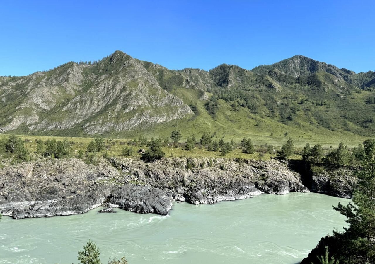 земля р-н Чемальский с Куюс ул Центральная Онгудай фото 3