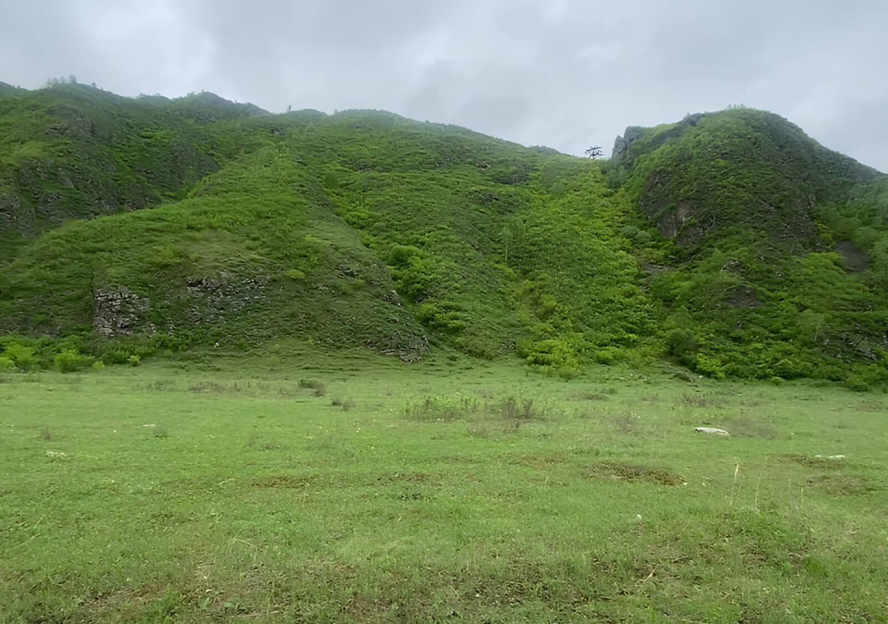 земля р-н Чемальский с Куюс ул Центральная Онгудай фото 5