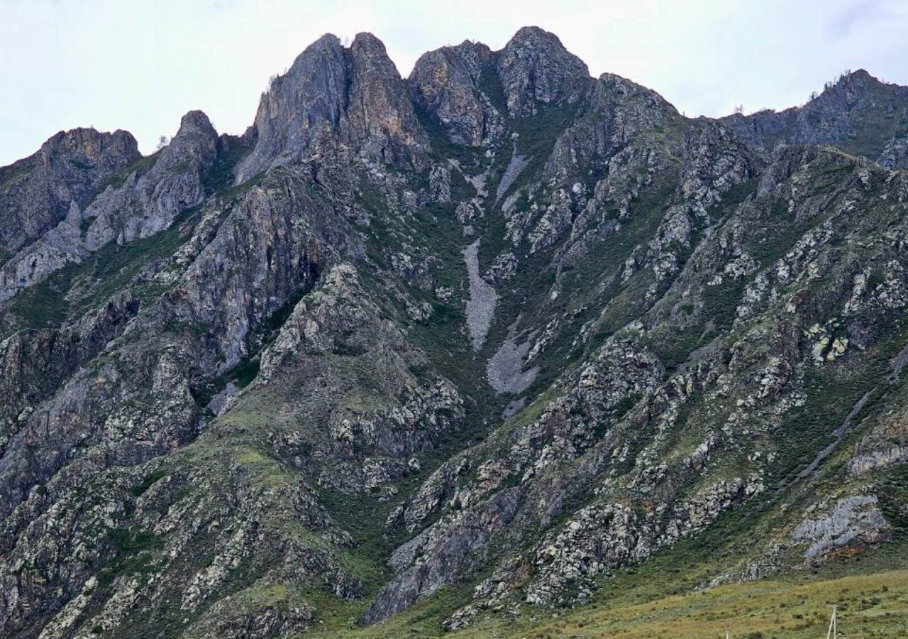 земля р-н Чемальский с Куюс ул Центральная Онгудай фото 8