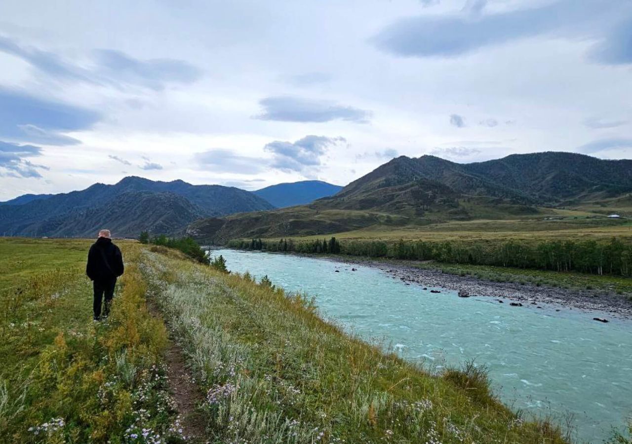 земля р-н Чемальский с Куюс ул Центральная Онгудай фото 10