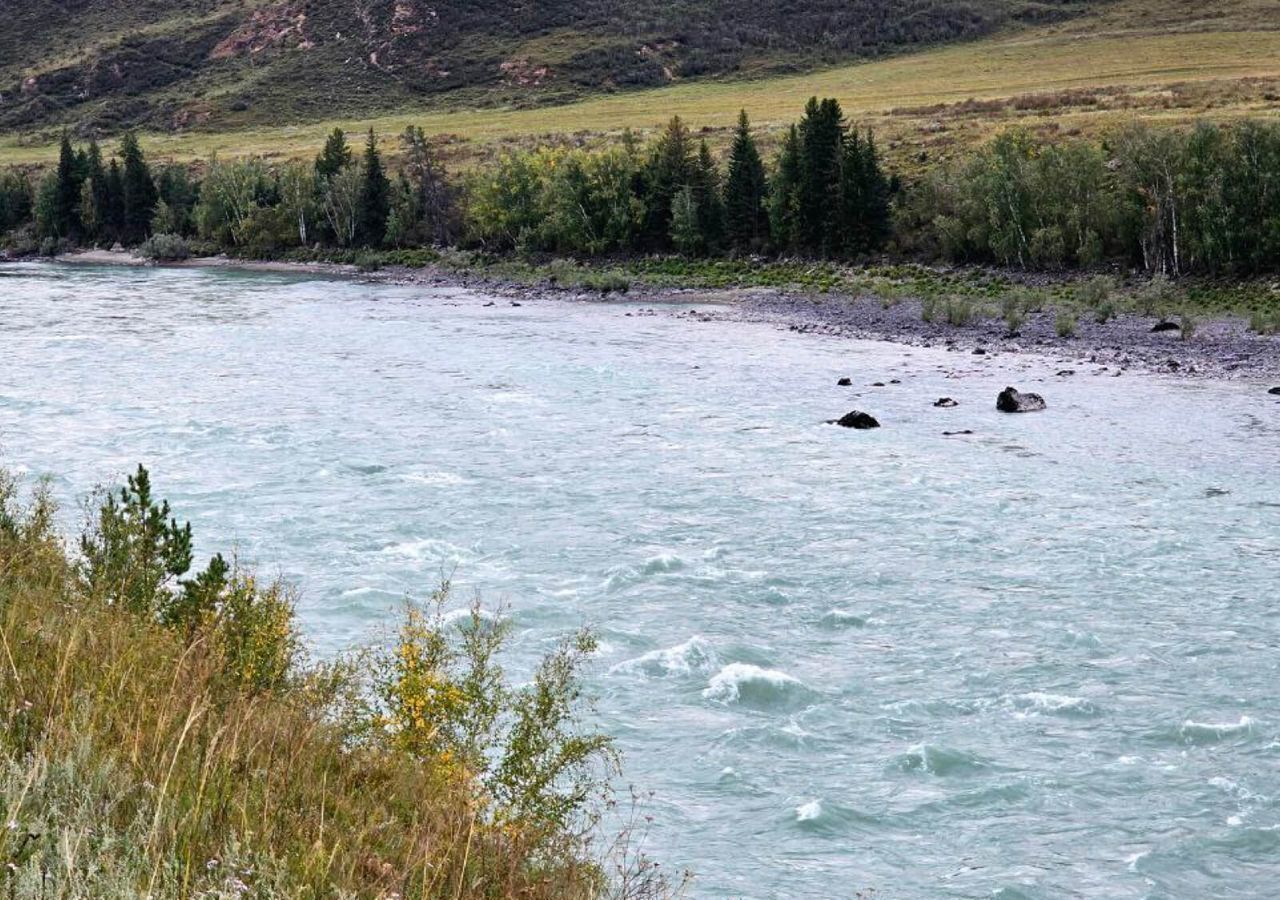 земля р-н Чемальский с Куюс ул Центральная Онгудай фото 11