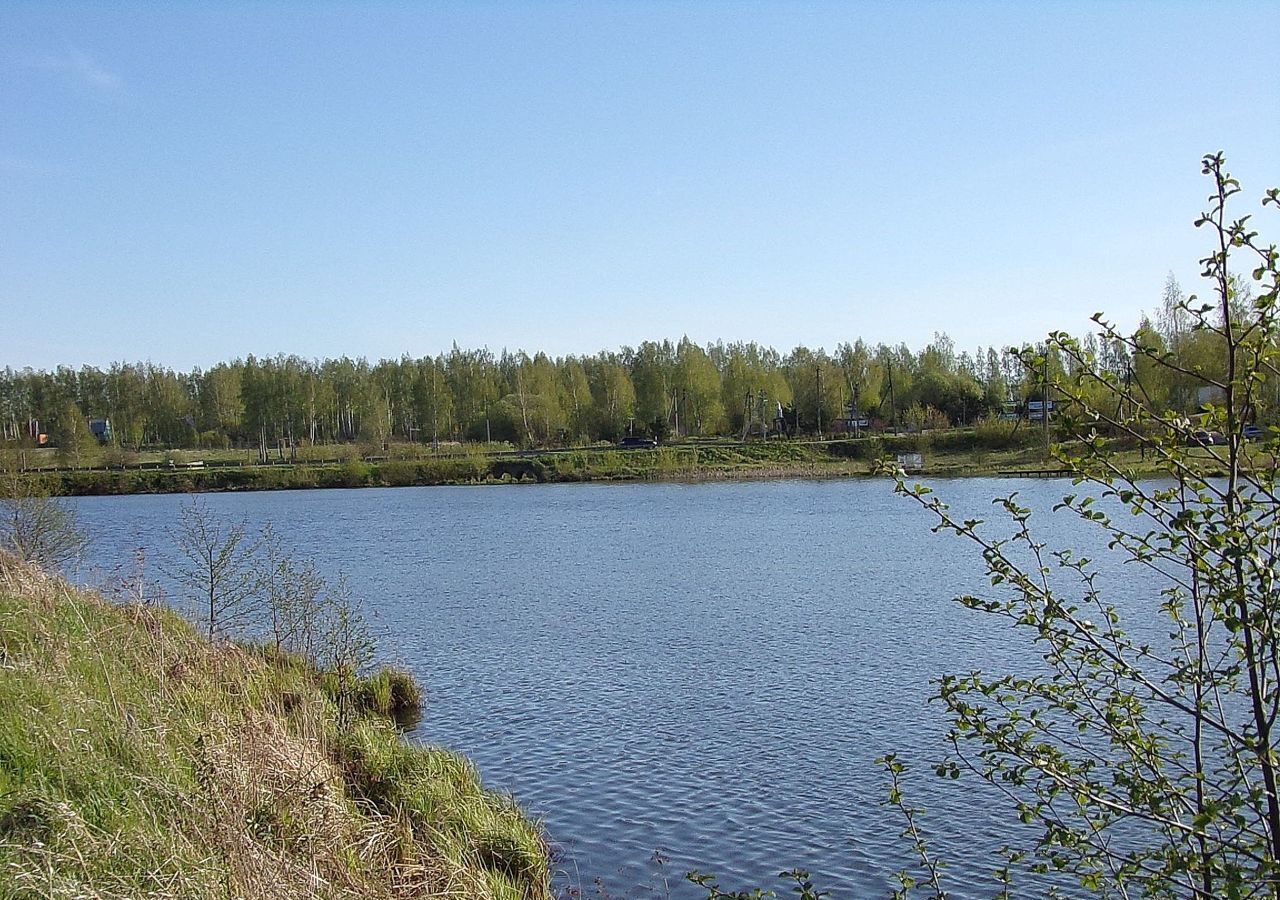 земля городской округ Ступино с Ивановское 9781 км, Михнево, Новокаширское шоссе фото 5