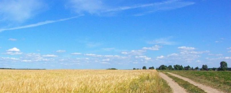 земля р-н Тутаевский д Рольино-Волохонское Левобережное сельское поселение, Тутаев фото 10