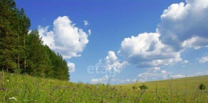 земля р-н Ильинский п Ильинский фото 1