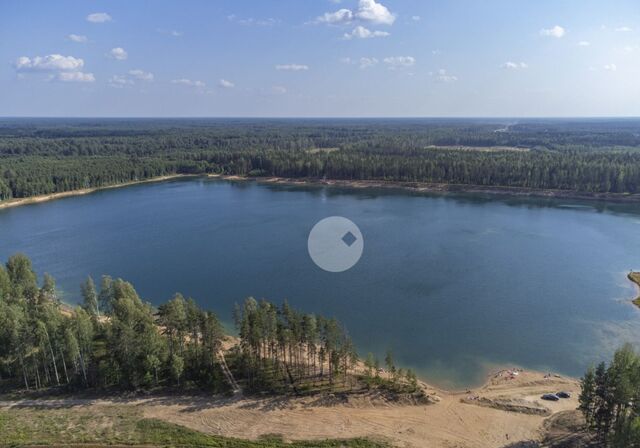 земля Московское шоссе, 9797 км, Любанское городское поселение, массив Агротехника, участок Пойма реки Тигода № 2 фото