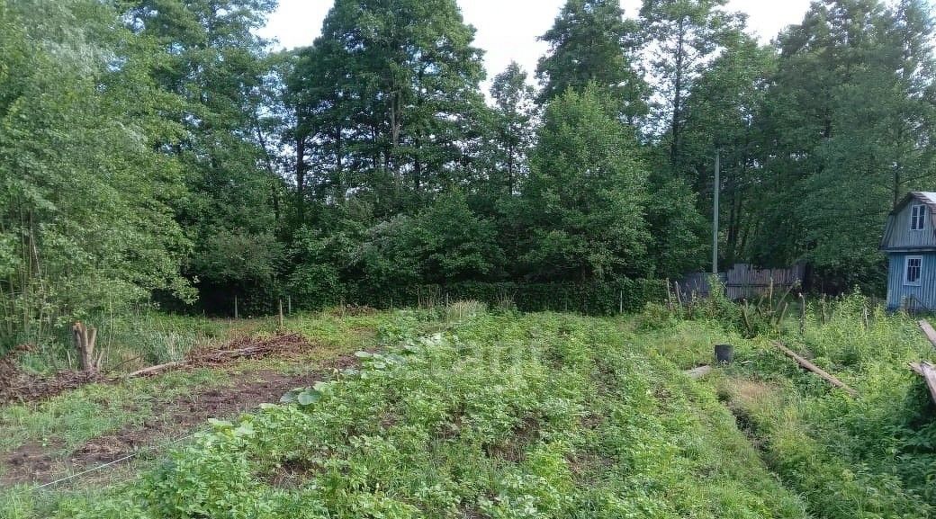 земля р-н Дзержинский п Товарково Садовые участки фото 1