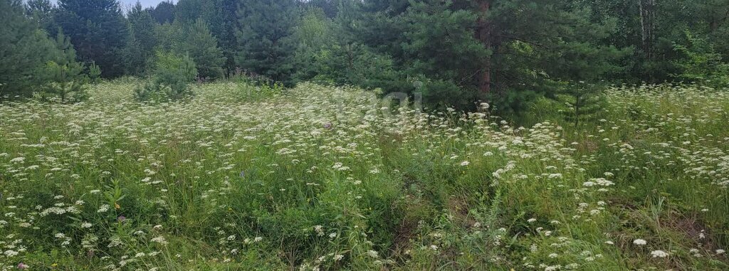 земля р-н Пригородный с Николо-Павловское ул Александровская фото 2