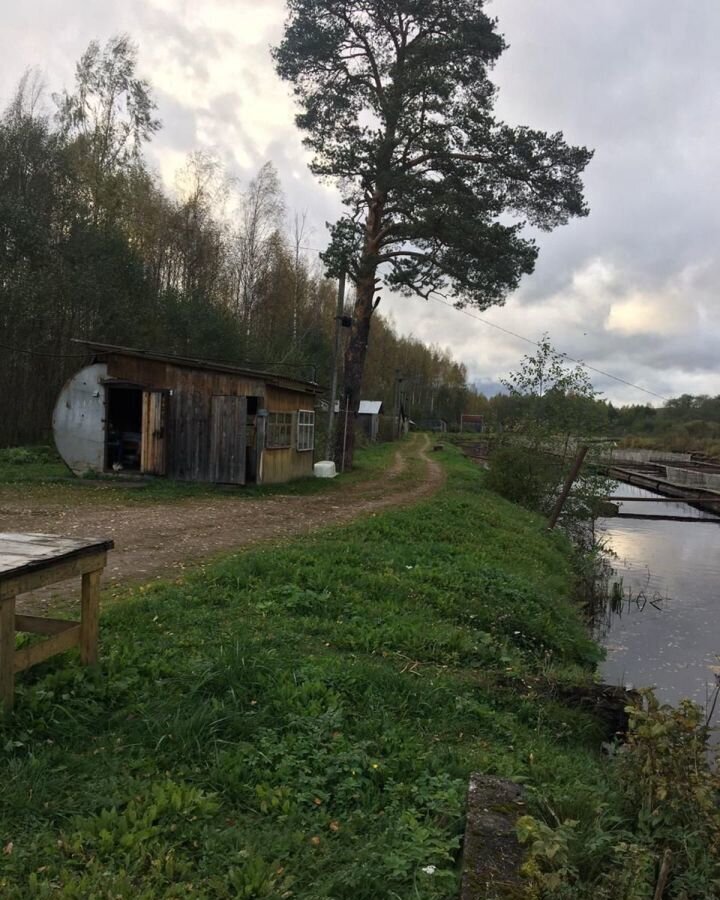 офис р-н Бокситогорский д Турандино Ефимовское городское поселение, 6, Новгородская область, Хвойная фото 10