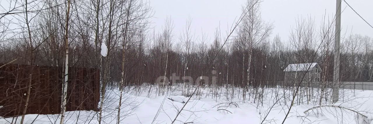 земля р-н Богородский с Спирино ул Железнодорожная 17 фото 2