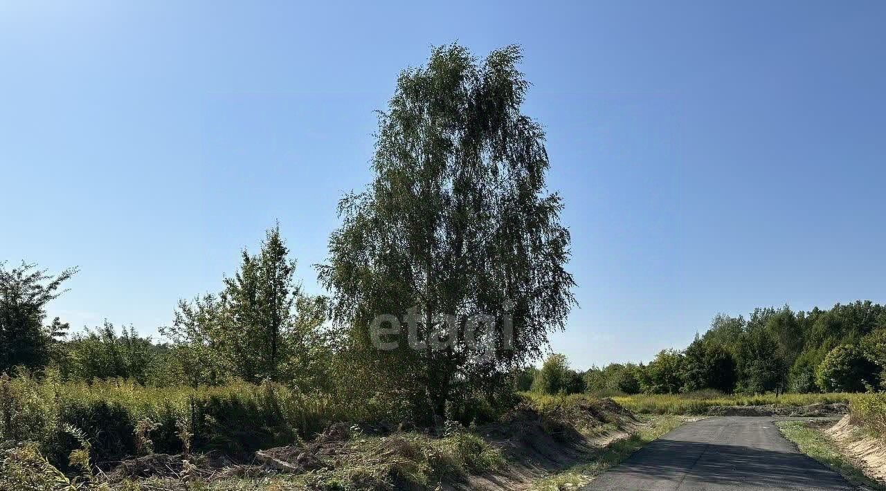 земля р-н Зеленоградский п Волошино Зеленоградский муниципальный округ фото 7