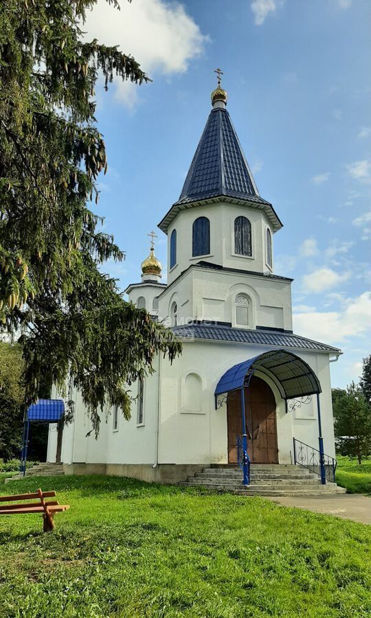 земля городской округ Серебряные Пруды с Петрово 9851 км, Узуново, Каширское шоссе фото 12