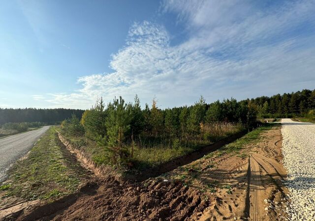 сл Талица ул Видная р-н Первомайский фото