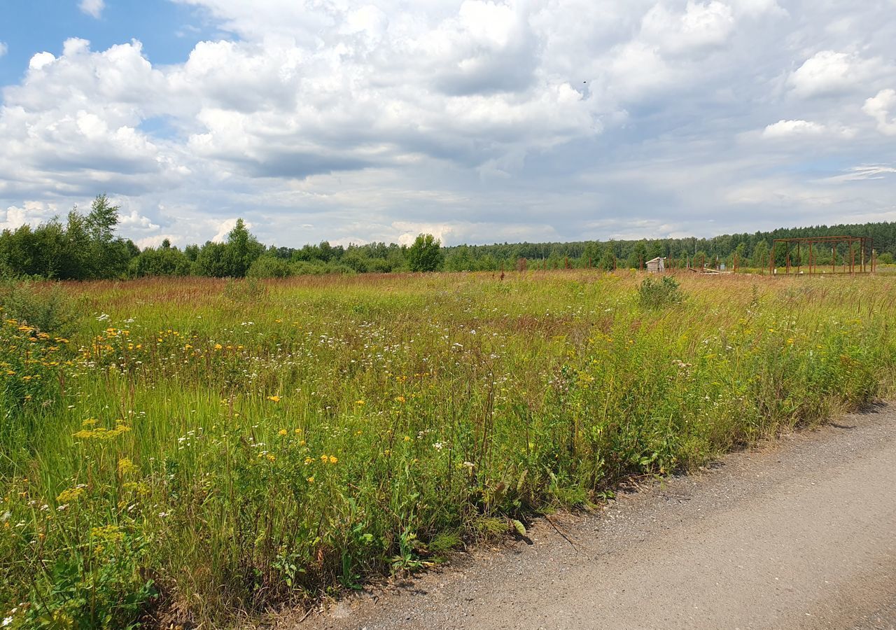 земля городской округ Раменский 9769 км, коттеджный пос. Лесная Поляна-2, Бронницы, Рязанское шоссе фото 14