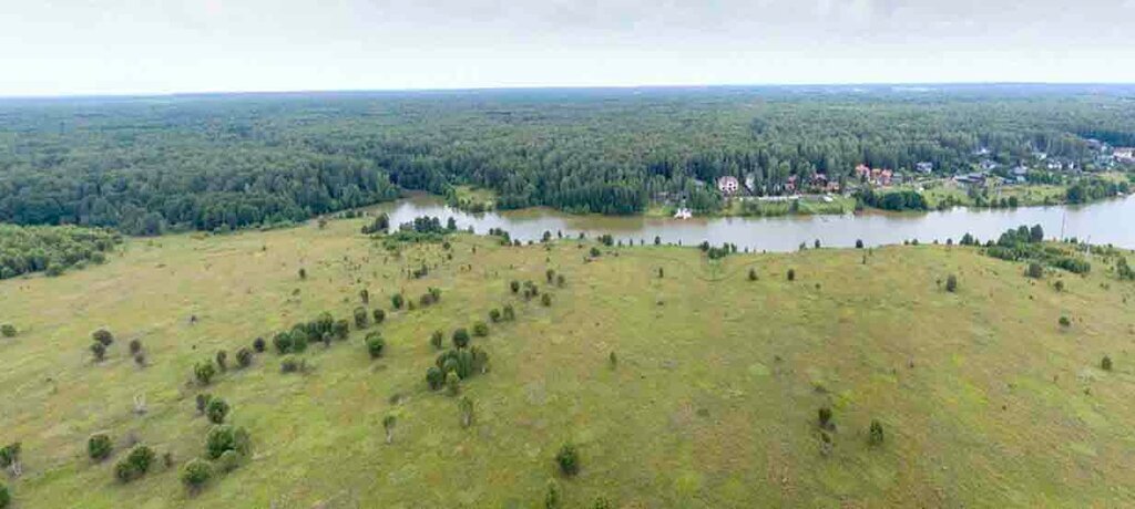 земля г Чехов территориальный отдел Стремиловский фото 5