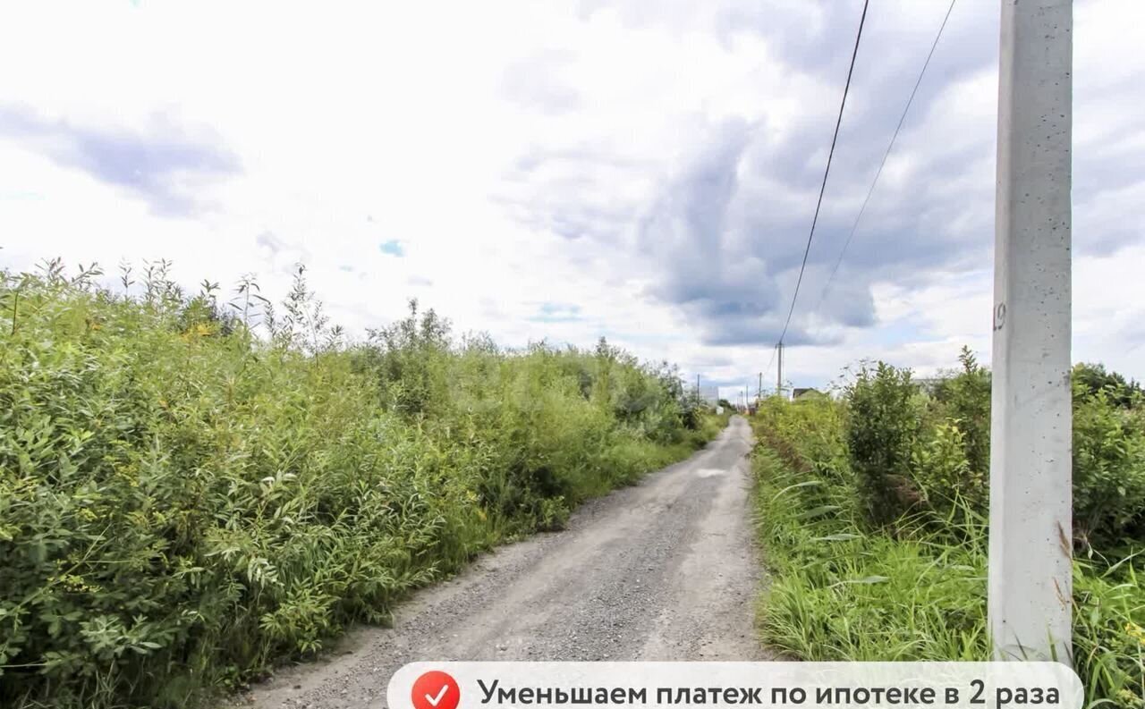 земля г Тюмень р-н Центральный снт Царево ул Кленовая фото 2