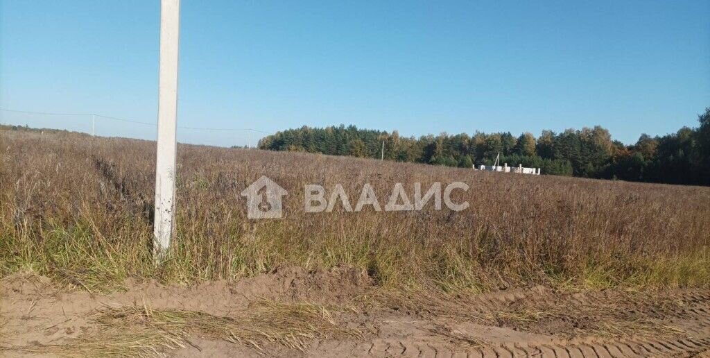 земля г Владимир д Шепелево р-н Октябрьский фото 3