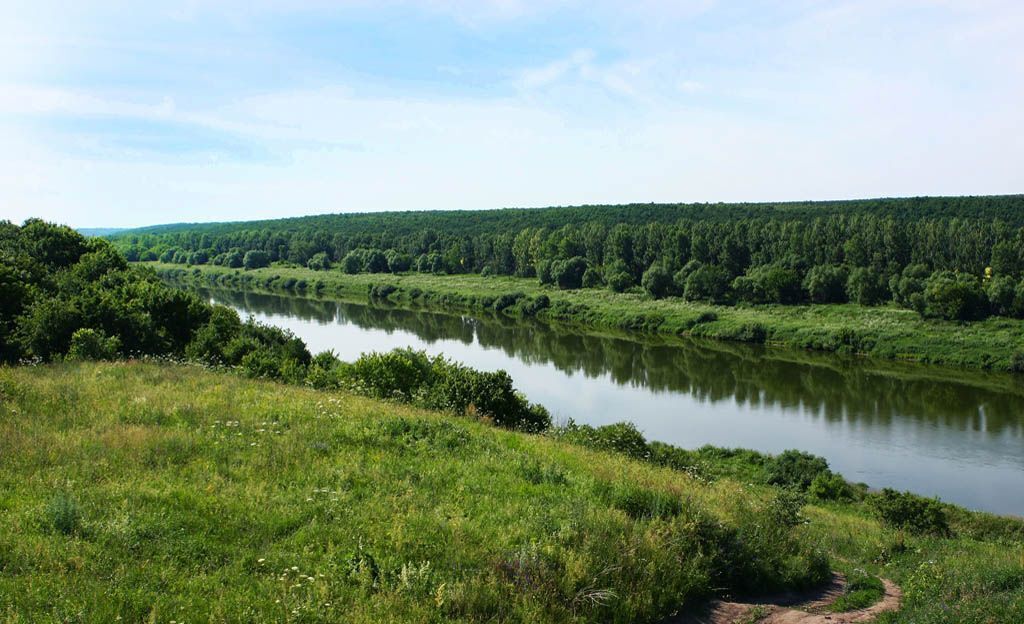 земля р-н Задонский с Замятино Ксизовский сельсовет, Задонск фото 12