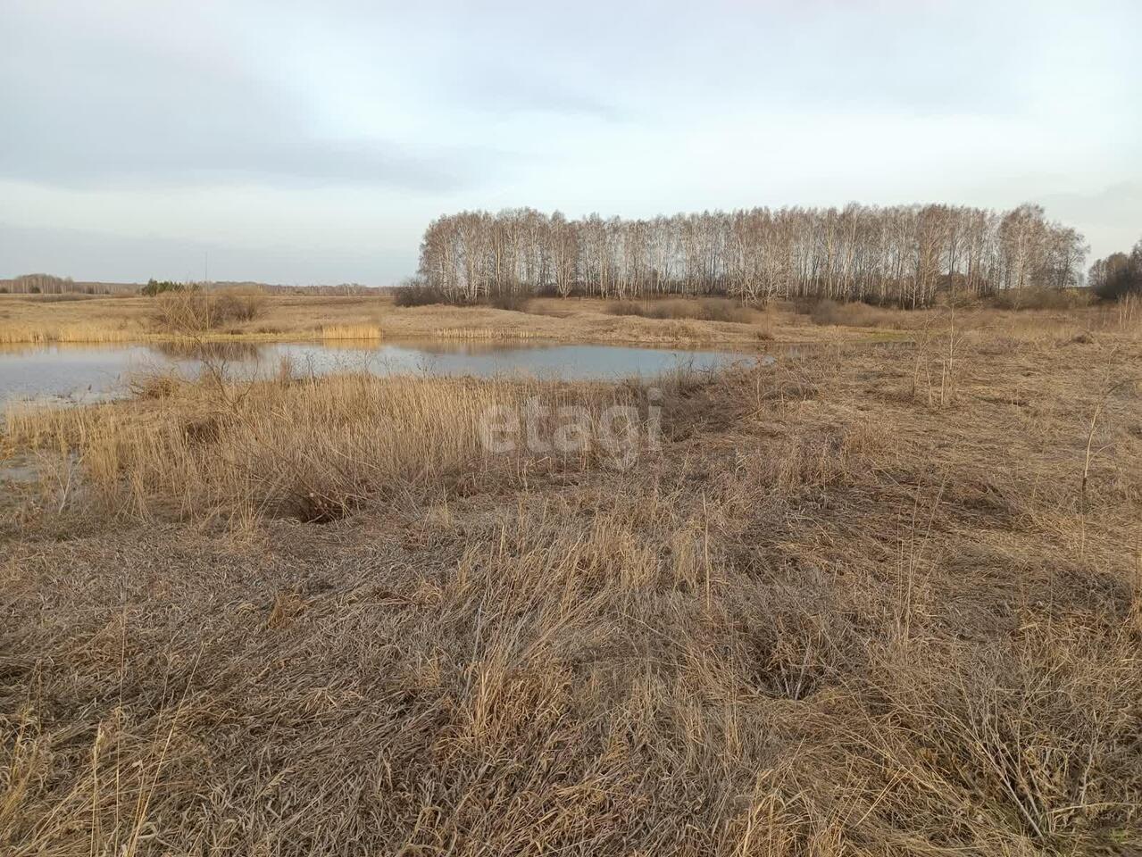 земля р-н Камышловский д Бутырки Советская, Камышлов фото 12