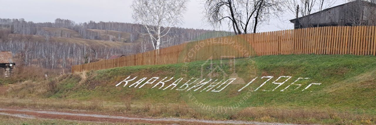 дом р-н Косихинский с Сохарево ул Центральная 10 фото 19