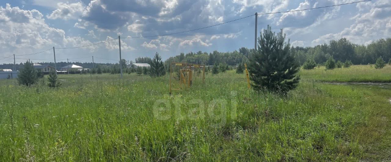 земля р-н Тюменский с Перевалово ул Отрадная Переваловское сельское поселение фото 13