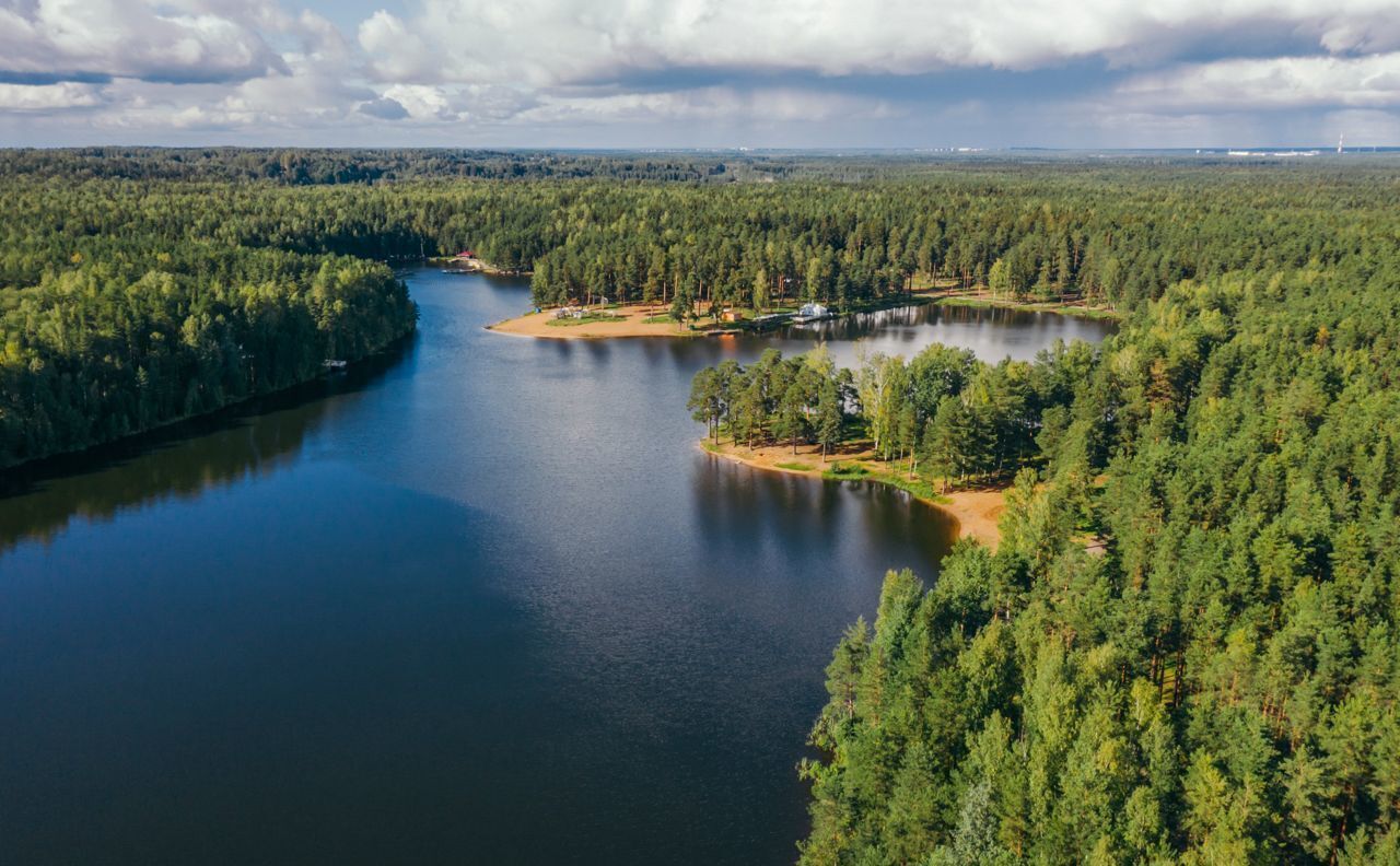 земля р-н Всеволожский д Хапо-Ое Мурманское шоссе, 9736 км, Колтушское городское поселение, коттеджный пос. Крокусы фото 5